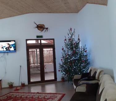 Malaiesti House | Pensiunea Narcisa cu Ciubar