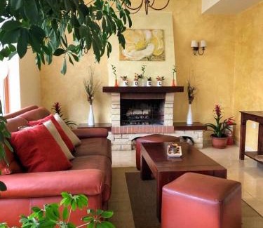 Baile Olanesti House | Pensiunea Noel
