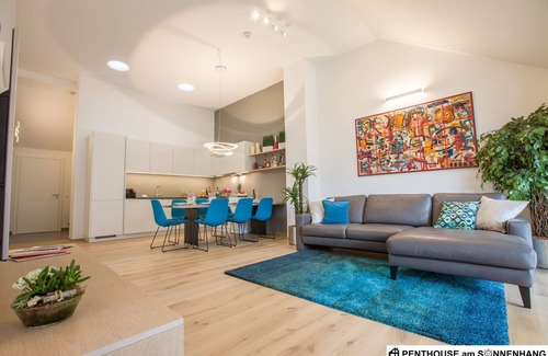 Schladming Apartment | Penthouse am Sonnenhang (exclusively equipped, luxory apartment)