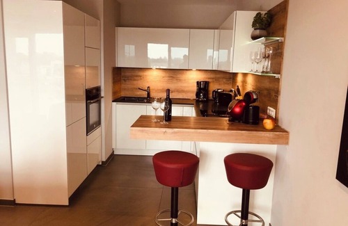 Friedrichshafen Apartment | Penthouse Apartment mit Alpenblick