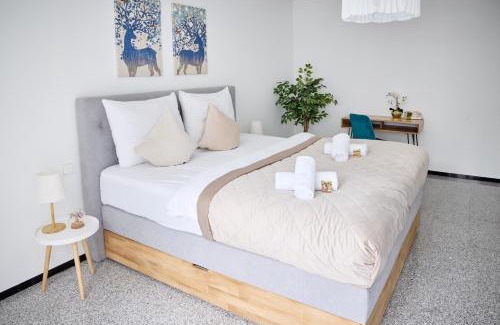 Weinheim Apartment | Penthouse Apartment mit Dachterrasse, Top Lage