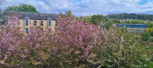 Gorgie Apartment | Penthouse Apartment Sleeps 11