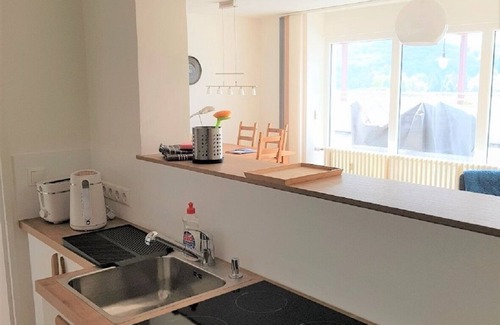Bad Hoenningen Apartment | Penthouse directly on the Rhine with a 100m2 roof terrace near the Eifel & Westerwald