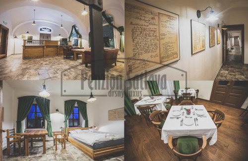 Nove Mesto nad Metuji Apartment | Penzion Šatlava