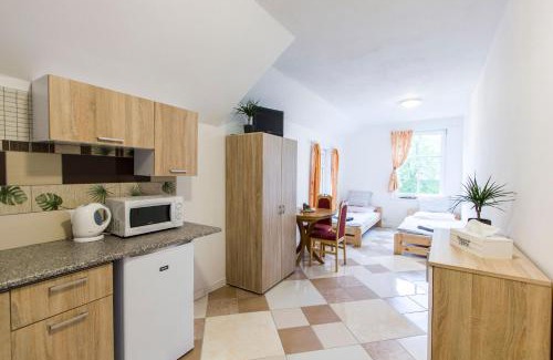 Bor u Tachova House | Penzion 43