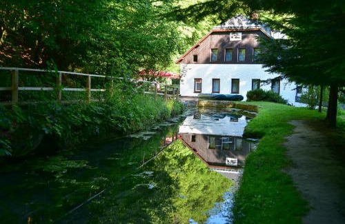 Frydstejn House | Penzion Bartošova pec