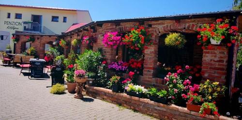 Hrusovany nad Jevisovkou House | Penzion Kristýna