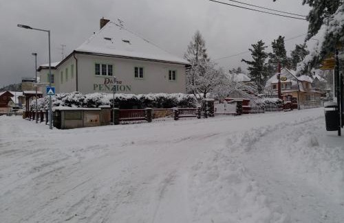 Stare Splavy House | Penzion Diana Máchovo jezero