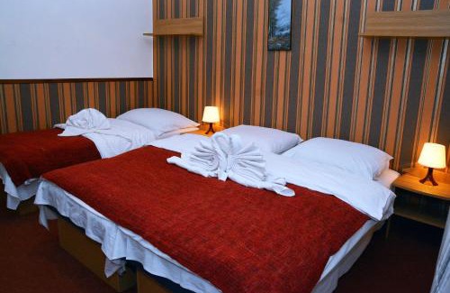 Hlinsko Hotel | Penzion Horalka