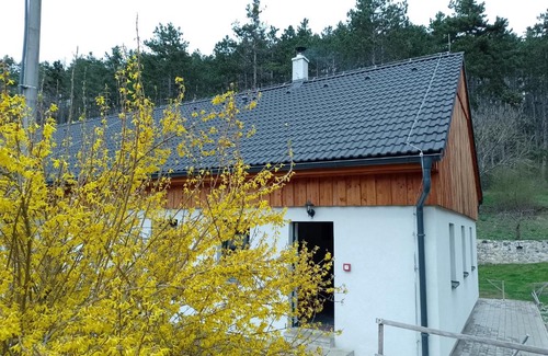 Kraluv Dvur House | Penzion Litohlavy 17 - Na samotě u lesa