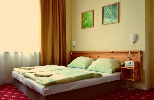 Horny Smokovec House | Penzion Partizan