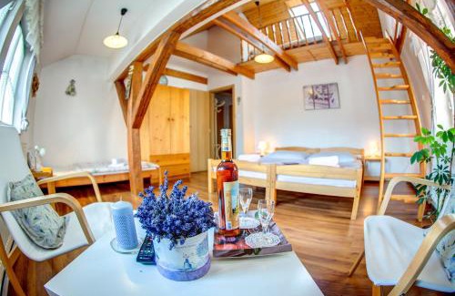 Lazne Belohrad House | Penzion Petra
