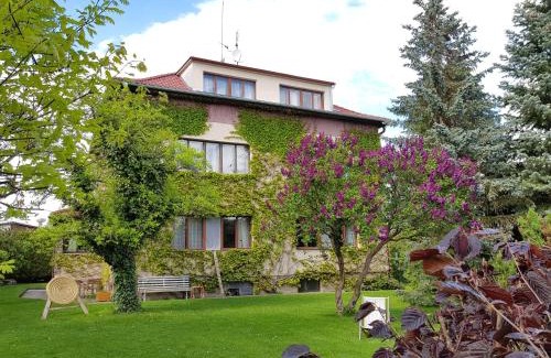 Trebon House | Penzion Sport