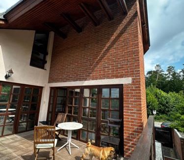 Stare Hradiste House | Penzion U Nouzů