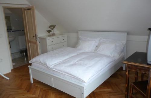 Sazava House | Penzion Venkoff