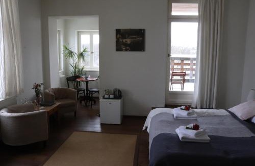 Bechyne House | Penzion Vila Elektra