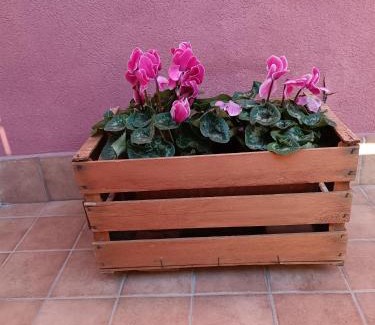 Gravina di Catania Apartment | Peppe's house