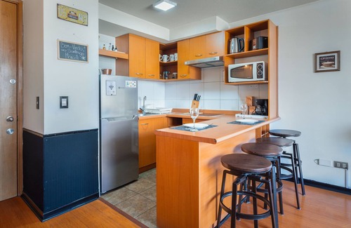 Downtown Santiago Apartment | Perfect Apartmen For Lover Of Travels. Best Located, Full Equiped, Include A/C!