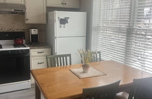 Petoskey Condo | PERFECT Location for SKI RESORTS, BIKING, HIKING and MORE