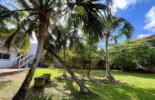 Colonia Centro Apartment | Perfect Place Cozumel - DIANA