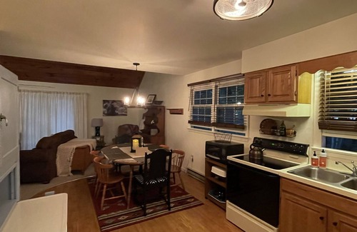 Dushore Cabin | Perfect summer getaway to explore or relax: Spacious/Pet-friendly/3BR cabin!