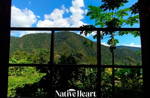Shapaja Cabin | 🌿 Personalized Amazon escape: 🧘‍♀️yoga, 🌄hikes, 🍫chocolate & 💚healing