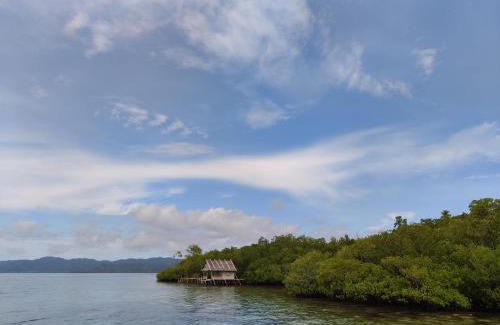 Sawinggrai House | Pesona Papua Homestay