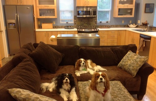 Crescent City North Apartment | Pet Friendly Apartment with Beautiful ocean views and Puppy Park