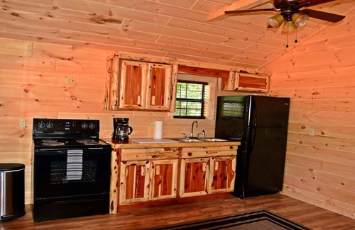 Buchanan House | PET FRIENDLY 🐾 Cabin#5 Swan Bay Cabins & RV Park, Paris Tn, Kentucky Lake