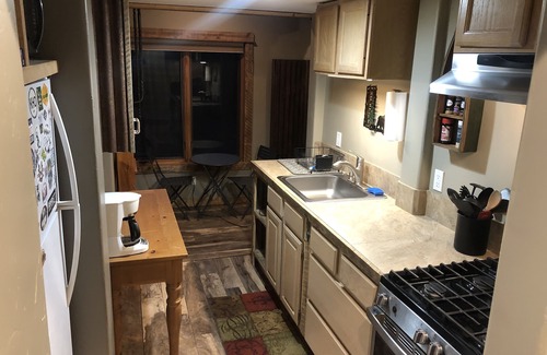 Pagosa Springs Cabin | PET FRIENDLY, cozy, quiet, cabin; river in the backyard STARLINK; VRP-25-0076