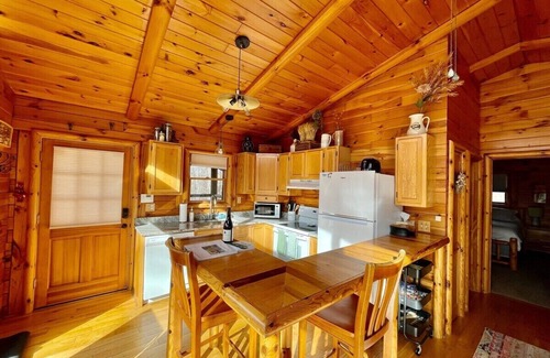 McArthur Cabin | Pet friendly, hot tub, no cleaning fee special!