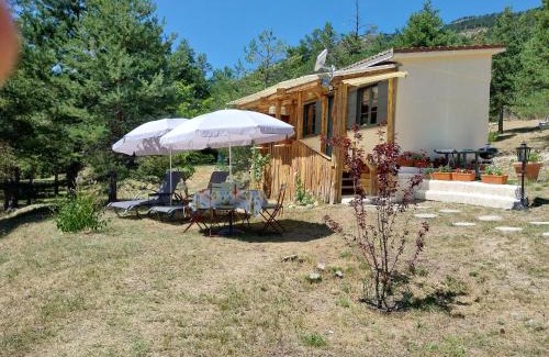 Saint-Auban House | Petit studio dans la prairie