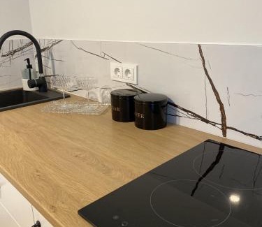 Kaunas County Apartment | Petro Apartamentai