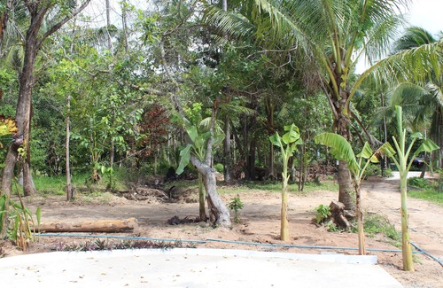 Baan Tai House | Phangan Green Village
