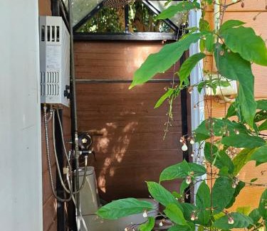 Noen Maprang Resort | Phongtang Garden Homestay
