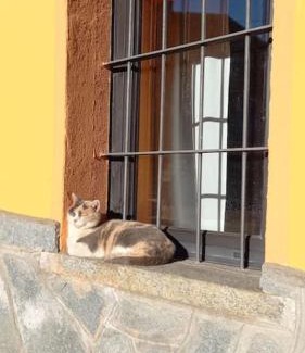 Luserna San Giovanni Apartment | Piccolo appartamento la custode del viaggio