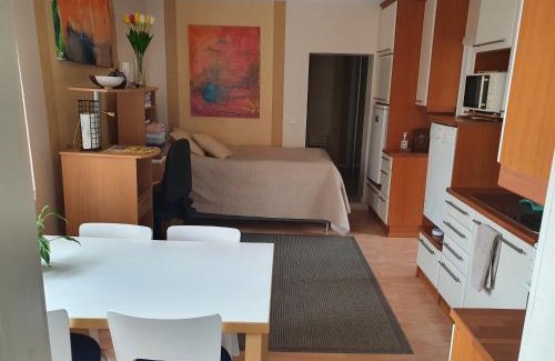 Seinajoki Apartment | Pihatalo