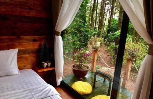 Soc Son Resort | Pine Hill Villas & Camping
