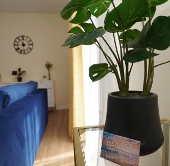 Miedzywodzie Apartment | Pine Tree House 5 D&D Apartments