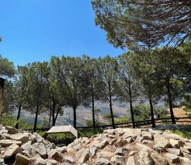 Btebyat Hotel | Pineland Hotel and Health Resort