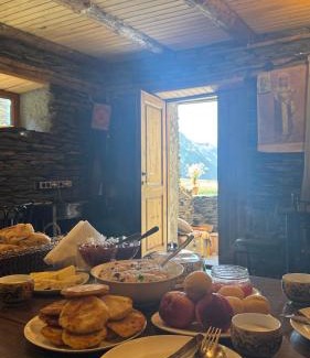 Dartlo Bed & Breakfast | Pirikiti chesho