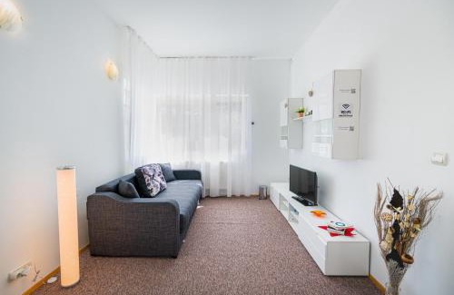 Dumbravita Apartment | PitStop Apartments