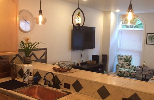 South Side Flats House | Pittsburgh’s Tropicana with outdoor year round hot tub. Fantastic location!