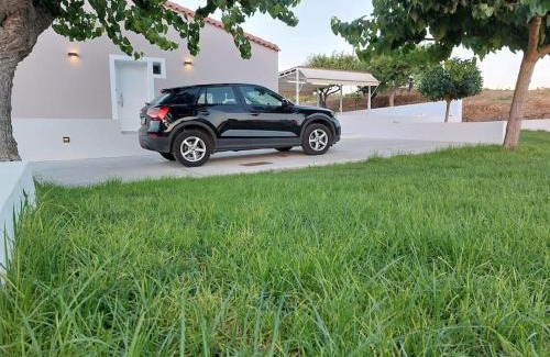 Platanes House | PLATANES PLACE