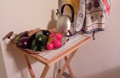 Aulus-les-Bains Apartment | Pleasant 31m² studio - On the GR10 and other footpaths in Aulus-les-Bains
