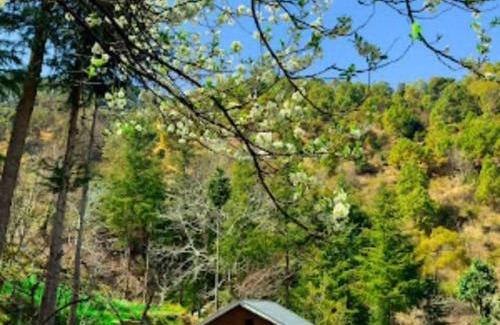 Rajgarh Resort | Plumvelly cottage