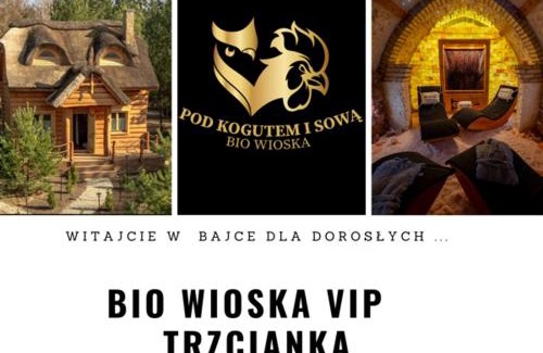Skarszewy House | Pod Kogutem i Sową - Bio Wioska z domkami Premium w góralskim stylu dla dorosłych