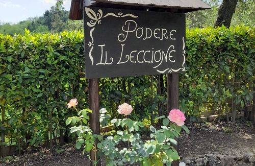 Palaia Villa | PODERE IL LECCIONE - COZY VILLA IN THE HEART OF THE TUSCAN HILLS