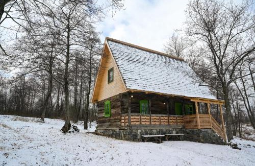Ocna Sugatag Villa | Poiana Creasta Cocoșului-Casa Trifoi