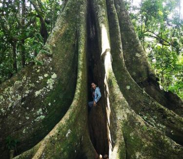 Puerto Maldonado Cabin | Pokakempi Amazon Lodge